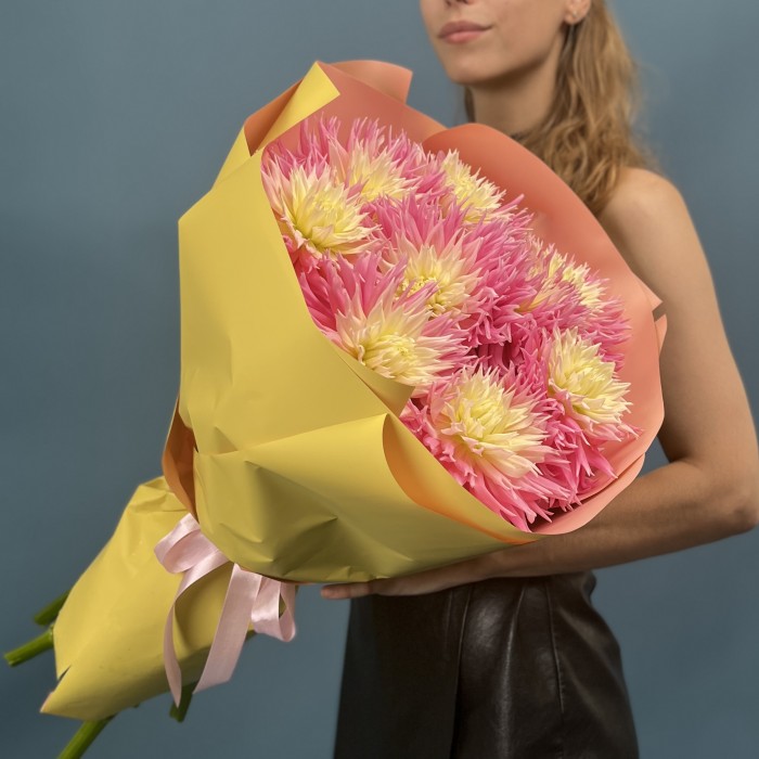 9 розово-желтых игольчатых георгин Джаст Меррид